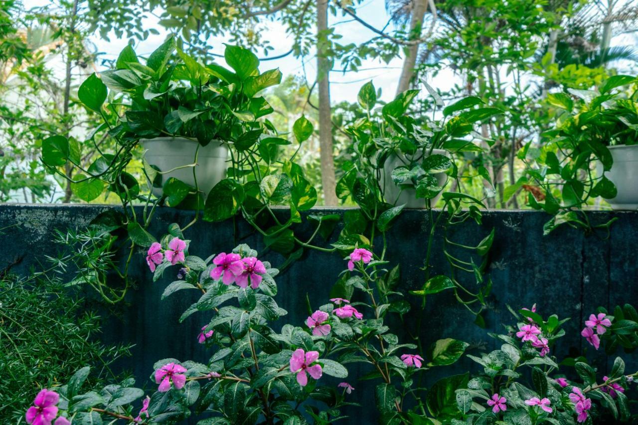 Green Bud Hostel And Homestay Hoi An Esterno foto